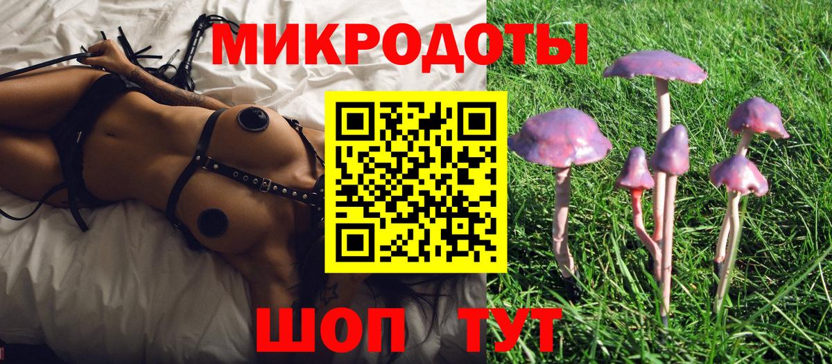 Псилоцибиновые грибы Psilocybine cubensis Коммунар