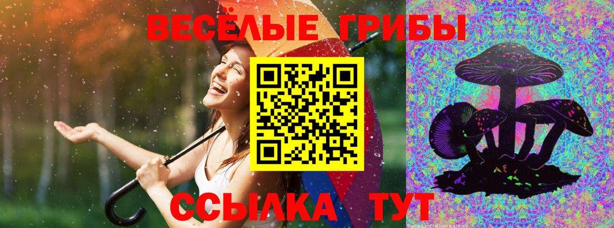 Псилоцибиновые грибы GOLDEN TEACHER  Псилоцибиновые грибы мухоморы  Вход с VPN  Коммунар 
